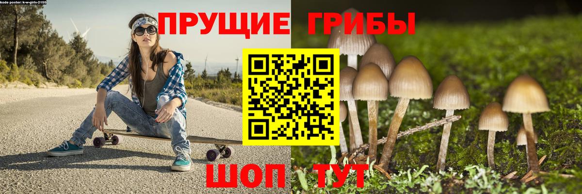 Саранск  Псилоцибиновые грибы мухоморы  Вход с VPN 
